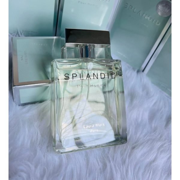 ⁦عطر سبلانديد بور هوم⁩ - الصورة ⁦6⁩