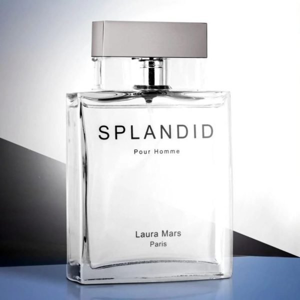 عطر سبلانديد بور هوم
